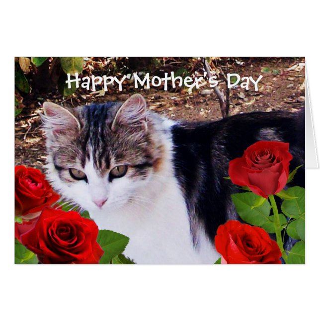GATO DEL DÍA DE LA MADRE CON ROSAS ROJAS (Anverso (Horizontal))