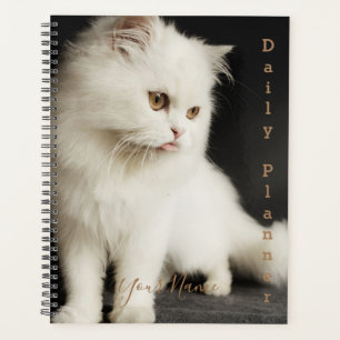 Gato del Himalaya - planificador diario - HAMbWG