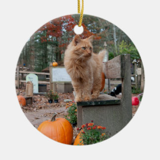 Gato del jengibre y ornamento de las calabazas