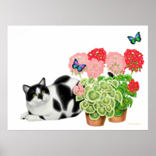 Gato del Moxie y la impresión de las mariposas