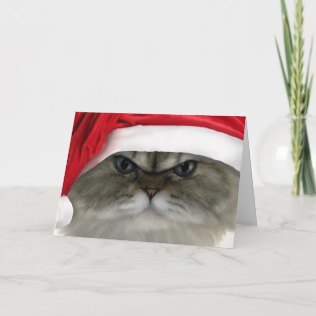 Gato del navidad (Anverso)