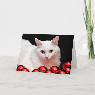 Gato del navidad