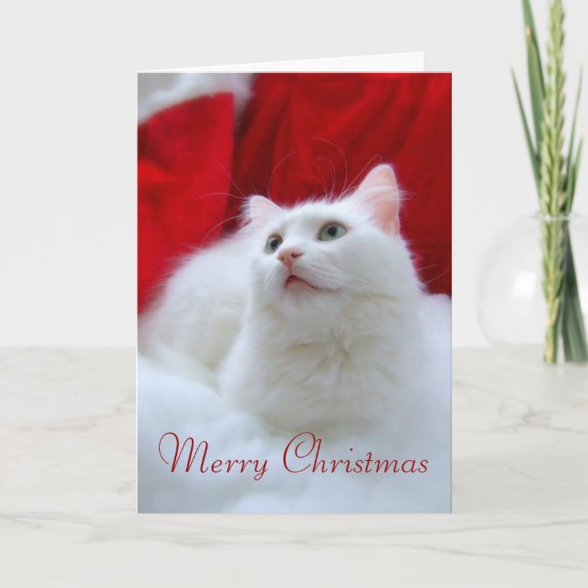 Gato del navidad (Anverso)