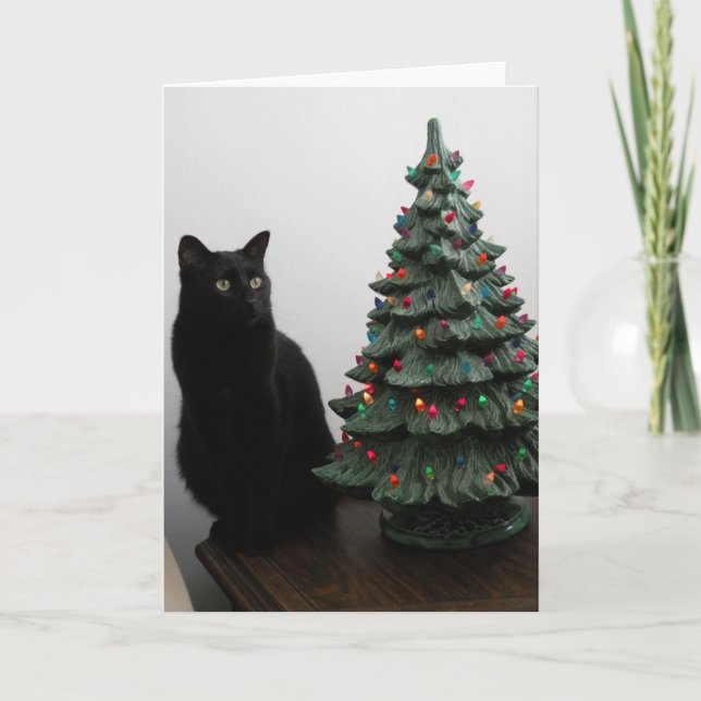 Gato del navidad con la tarjeta del árbol (Anverso)