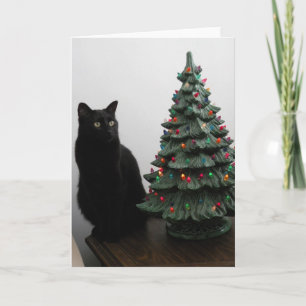 Gato del navidad con la tarjeta del árbol