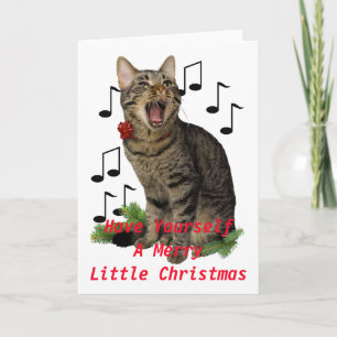Gato del navidad del canto