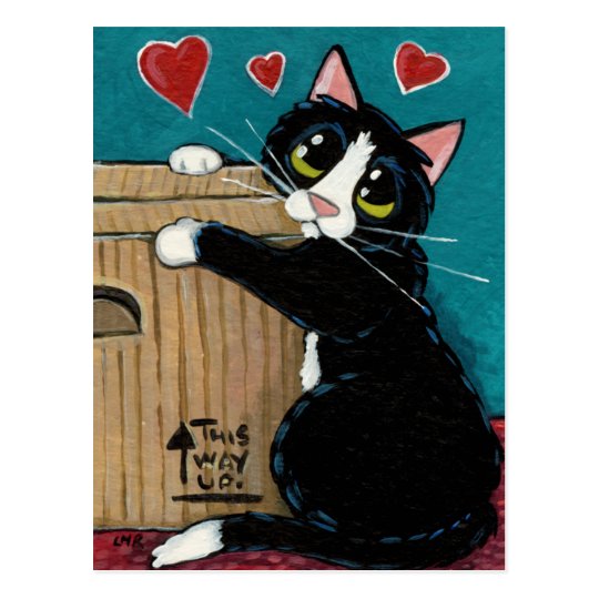 Gato del smoking en amor con la postal de la caja