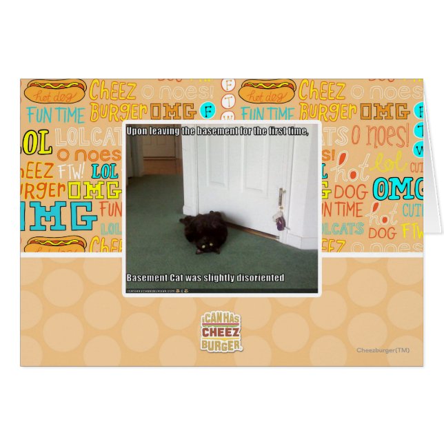 Gato del sótano, ligeramente desorientado (Anverso (Horizontal))