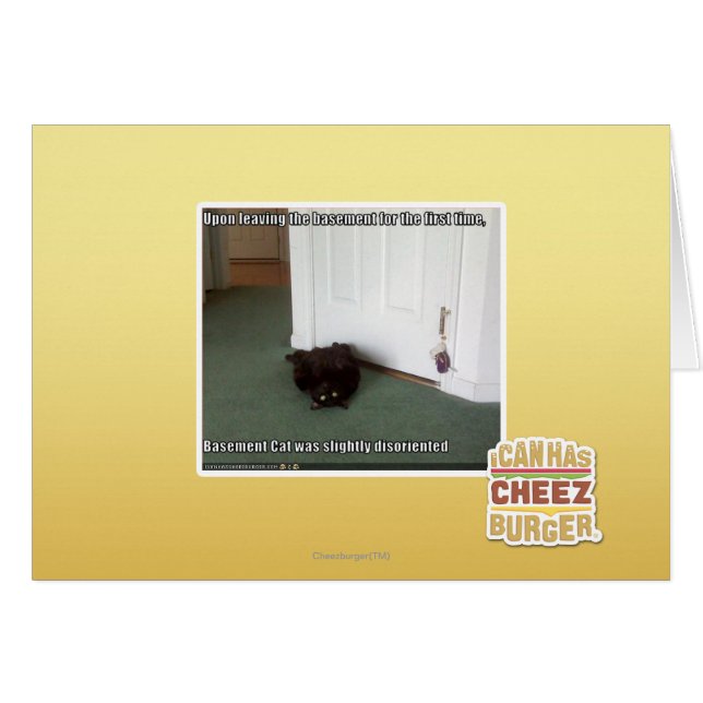 Gato del sótano, ligeramente desorientado (Anverso (Horizontal))