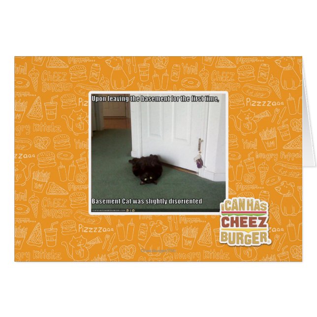 Gato del sótano, ligeramente desorientado (Anverso (Horizontal))