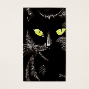 gato descarado