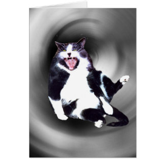 Gato deslizándose hacia abajo en la tarjeta