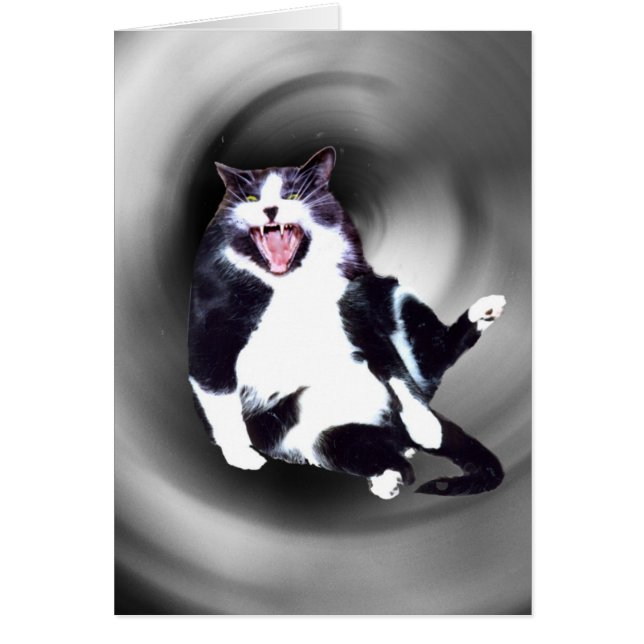 Gato deslizándose hacia abajo en la tarjeta (Frente)