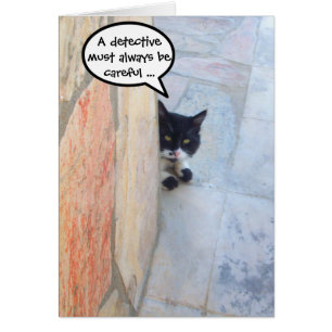 GATO DETECTIVE DETRÁS DEL MURO DE PIEDRA