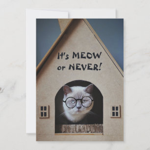 Gato Divertido con Gafas Es Ahora o Nunca Cita