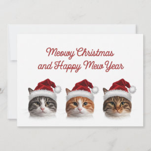 Gato divertido de Navidad maullido con sombrero de