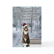 Gato divertido del navidad