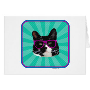 Gato divertido del smoking de los vidrios