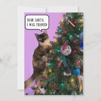 Gato divertido en problemas con Santa Navidad