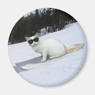 Gato divertido en un imán de snowboard