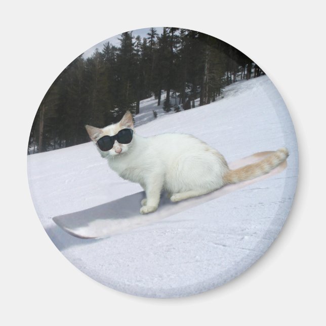 Gato divertido en un imán de snowboard (Frente)