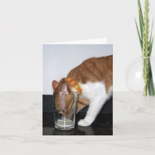 Gato divertido que bebe de la tarjeta de nota en (Anverso)