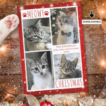Gato Divertido Rojo MEOWY NAVIDAD 4 Fotos