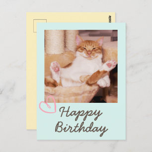 Gato divertido y postal de cumpleaños feliz