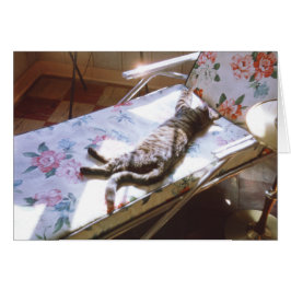 Gato durmiendo en Chaise Lounge Imagen retro Kitte