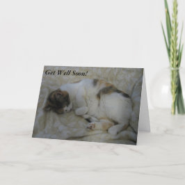 Gato durmiendo sórtese sano pronto tarjeta #2