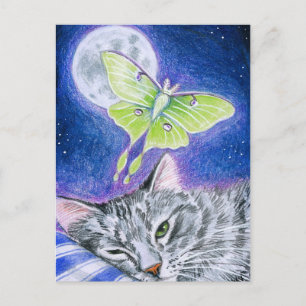 Gato durmiente con Luna Moth, postal lunar