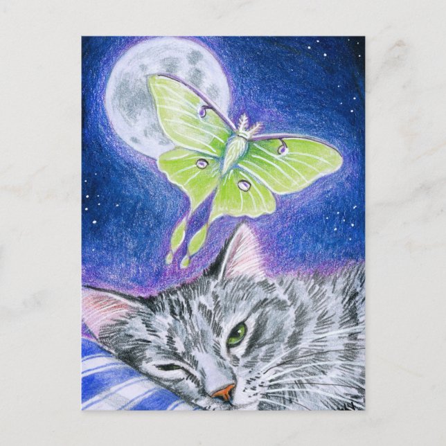 Gato durmiente con Luna Moth, postal lunar (Anverso)