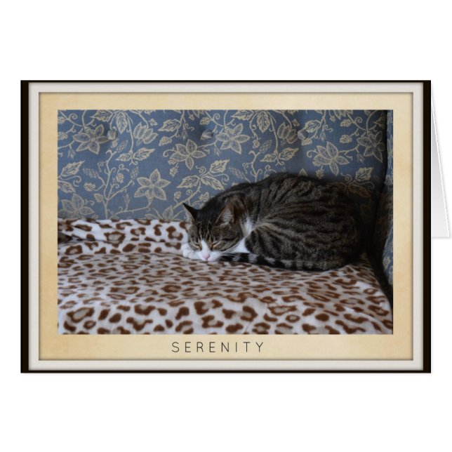 Gato durmiente - Serenidad (Anverso (Horizontal))
