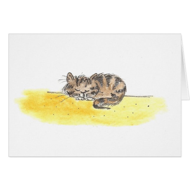 Gato el dormir (Anverso (Horizontal))