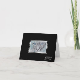 Gato elegante plateado gris sobre fondo negro