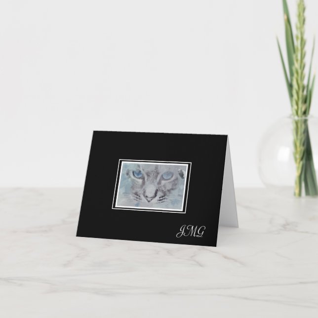 Gato elegante plateado gris sobre fondo negro (Anverso)