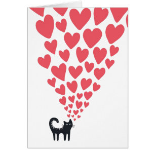 Gato en amor