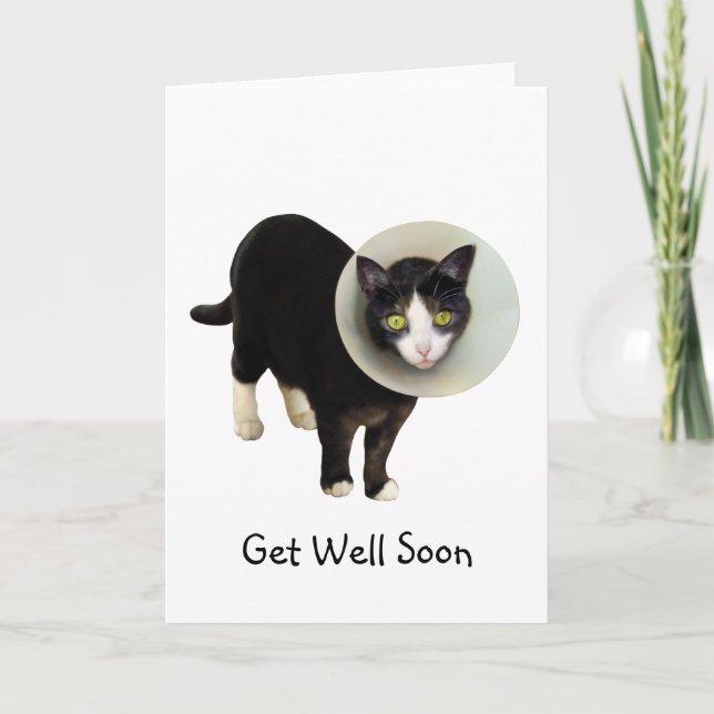 Gato en Cono Recibir una Buena Tarjeta (Anverso)