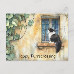 Gato en el cruce de postales de Windows - Postcard