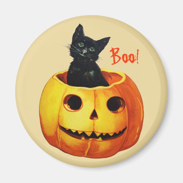 Gato en el imán de Halloween de la Calabaza (Frente)