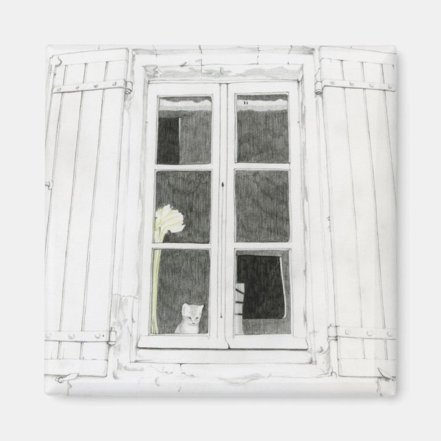 Gato en el imán de la ventana (Frente)