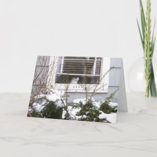 Gato en el navidad negro bonito de la ventana y el (Anverso)