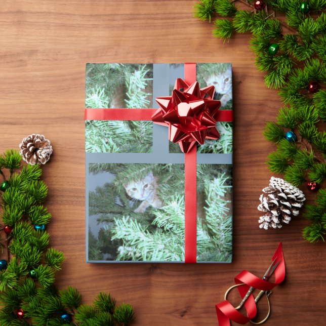 Gato En El Papel De Envoltura Del Árbol (Regalo de vacaciones)