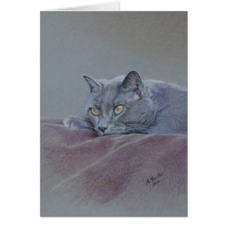Gato en la manta, apenas relajándose, bella arte