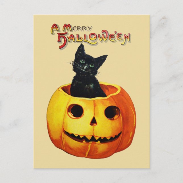 Gato en la postal de Halloween de calabaza (Anverso)