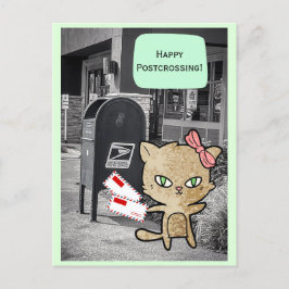 Gato en la postal de paso de buzón