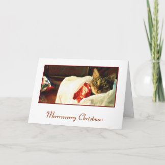 Gato en la tarjeta de Navidad del bolso