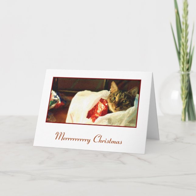 Gato en la tarjeta de Navidad del bolso (Anverso)