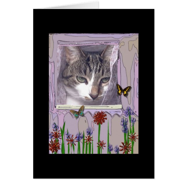 Gato en la ventana (Frente)