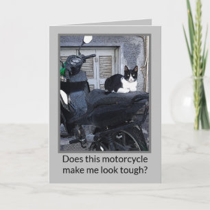 GATO EN MOTOCICLETA / HUMOR